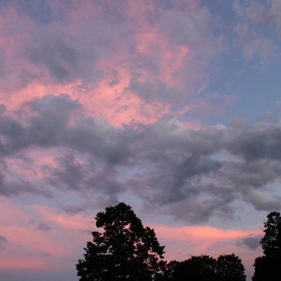 Meet your Posher, Rebel - Picture 5 of 8